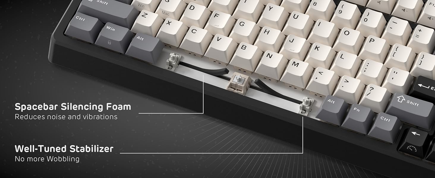 RK ROYAL KLUDGE F99 Wireless Mechanical Keyboard Numper Pad, Tri-Mode Hot Swappable 95%100 Keys Gaming Keyboard BT/2.4G/USB-C, Knight Black