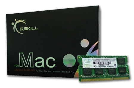 G.Skill 8GB(4Gx2) PC-10666 (1333MHz) SO-DIMM DDR3 for Mac