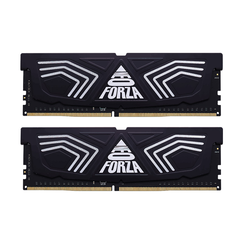 Neo Forza Faye 16GB (2x8GB) NMUD480E82-3600DG20 3600MHz DDR4 RAM - GREY 