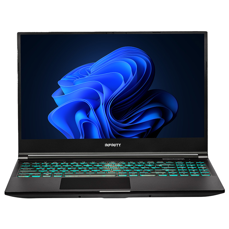 Infinity 15.6in FHD 165Hz i7-13620H RTX 4060 1TB SSD 16GB RAM W11H Gaming Laptop (O5-13R6A-899)