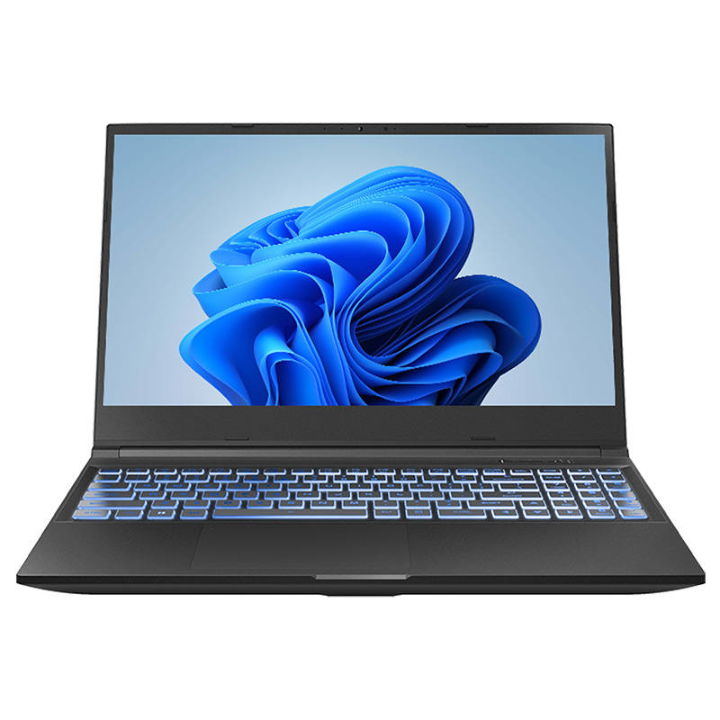 Infinity 16.1in WQXGA 240Hz i7-13650HX RTX 4060 1TB SSD 16GB RAM W11H Gaming Laptop (XQ6HX-13R6A-899)