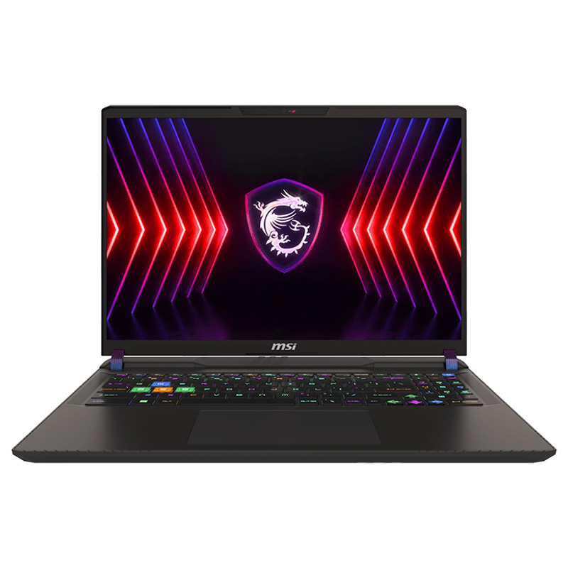 MSI Vector 16 HX A14VHG 16in QHD+ 240Hz i9-14900HX RTX 4080 2TB SSD 32GB RAM W11P Laptop (Vector 16 HX A14VHG-444AU)