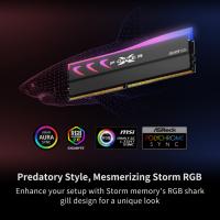 DDR5-RAM-SP-Silicon-Power-XPOWER-STORM-RGB-DDR5-64GB-2x32GB-6400MHz-Gaming-Memory-Supports-Intel-XMP-AMD-EXPO-CL32-UDIMM-Desktop-PC-Computer-RAM-Memory-Gray-6