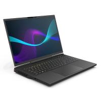 Infinity-Laptops-Infinity-17-3in-WQXGA-240Hz-i9-14900HX-RTX-4080-1TB-SSD-32GB-RAM-W11H-Gaming-Laptop-N7-14R8A-999-8