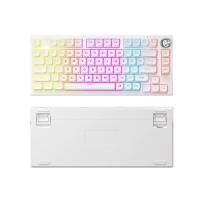 FURYCUBRIP75 wired keyboard stylish PBT glowing office gaming keyboard 