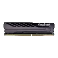 Kingbank KJXB DDR4 3200MHz (2*16GB) 32GB CL16 Black