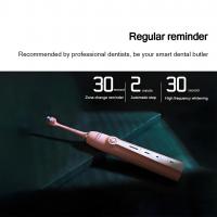 Z608-Powerful-and-Precise-Cleaning-Electric-Toothbrush-6
