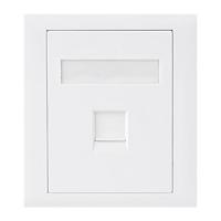 Astrotek CAT6 RJ45 Network Wall Face Plate (ATP-SC-6-1)