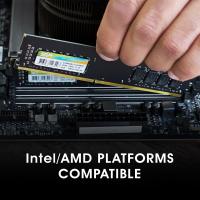SP-Silicon-Power-8GB-SP008GBLFU266X02-CL19-UDIMM-2666MT-s-DDR4-RAM-Single-Desktop-Memory-SP008GBLFU266X02-24