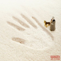 f809e90f5d15a63d-w_200