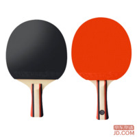 JD Beginner Table Tennis Racket Set for Students/Adults, Training/Competition, Penhold Grip, with Bag and 3 Balls