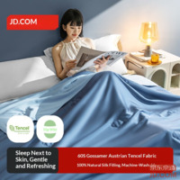 JD Silk Quilt Lenzing Tencel Summer Cooling Quilt Air Conditioner Quilt 100% Silk Cool Feel 2x2.3m